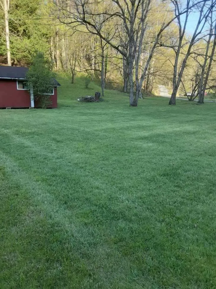 Affordable residential landscaping in Reedsville, WV - II Busy Bee's Lawn N' Tree Service