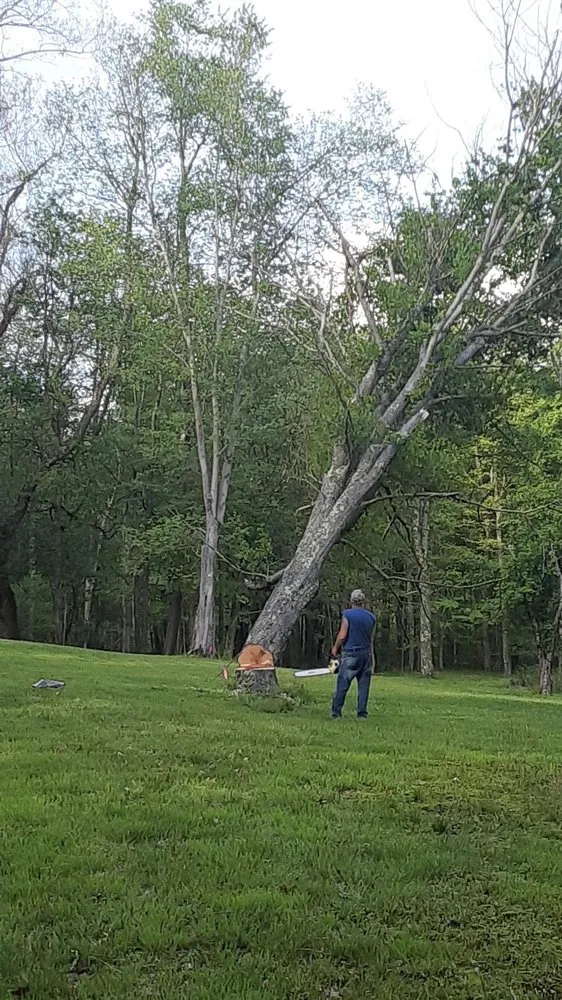 Local landscape design for residential properties across Reedsville, WV - II Busy Bee's Lawn N' Tree Service