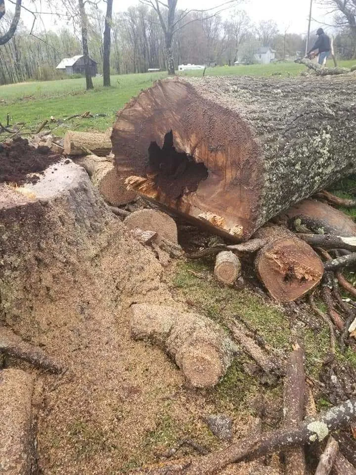 Custom residential landscaping in Reedsville, WV - II Busy Bee's Lawn N' Tree Service