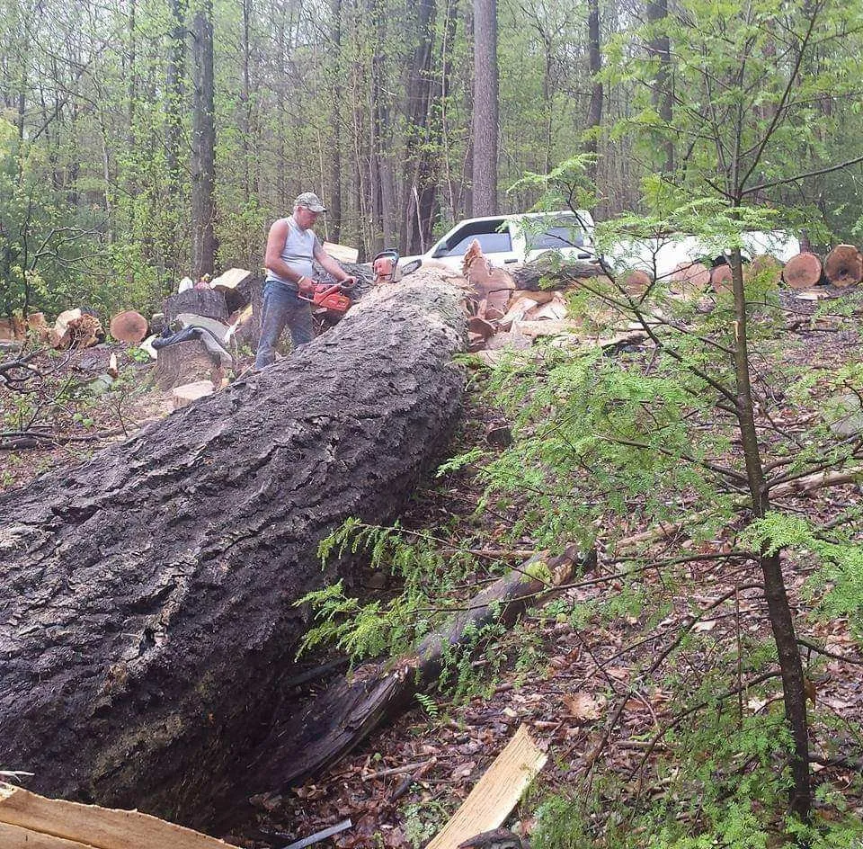 Top-rated yard cleanup service for beautiful yards in Reedsville, WV by II Busy Bee's Lawn N' Tree Service