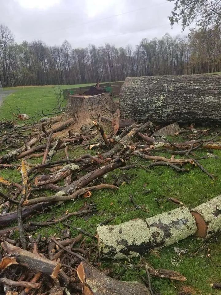 Affordable lawn care service for outdoor upgrades in Reedsville, WV by II Busy Bee's Lawn N' Tree Service