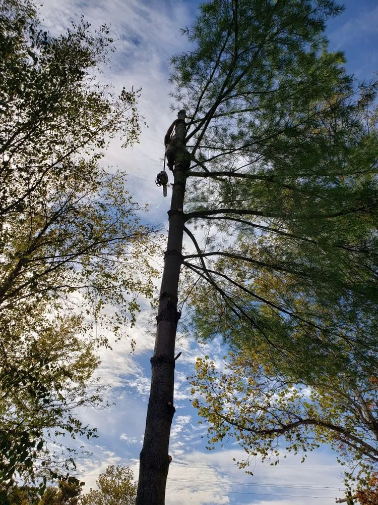 Local garden landscaping in Reedsville, WV by II Busy Bee's Lawn N' Tree Service