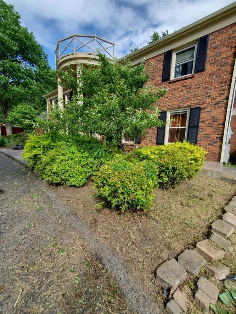 Local yard maintenance experts serving Reedsville, WV - II Busy Bee's Lawn N' Tree Service