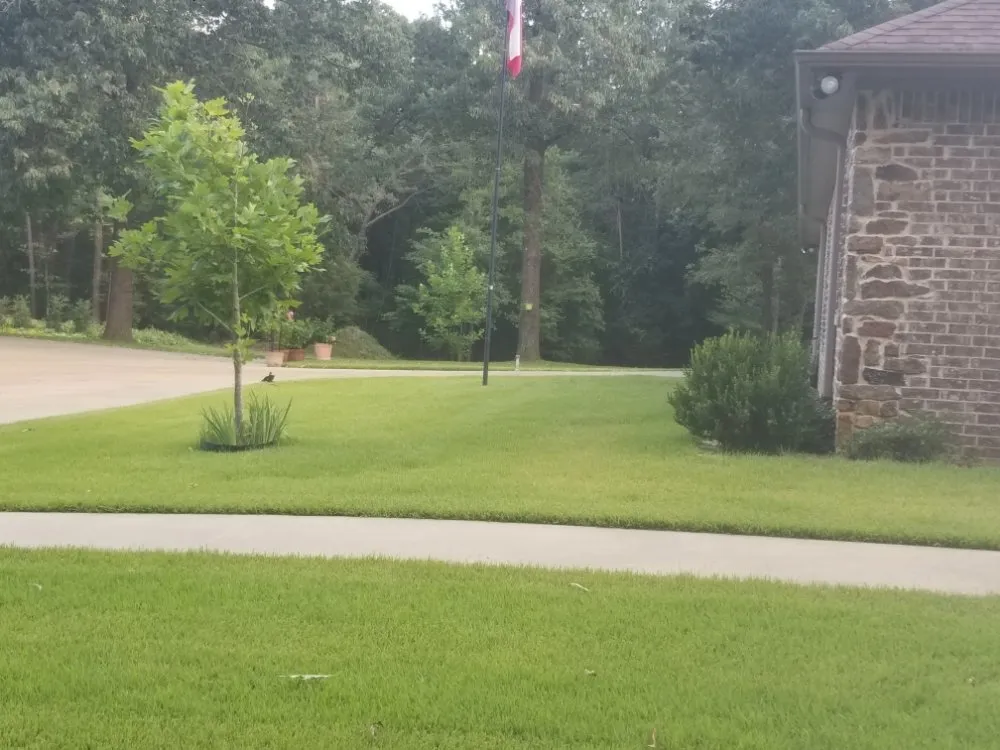 Expert lawn care service in Harleton, TX by ii Care Lawn Care