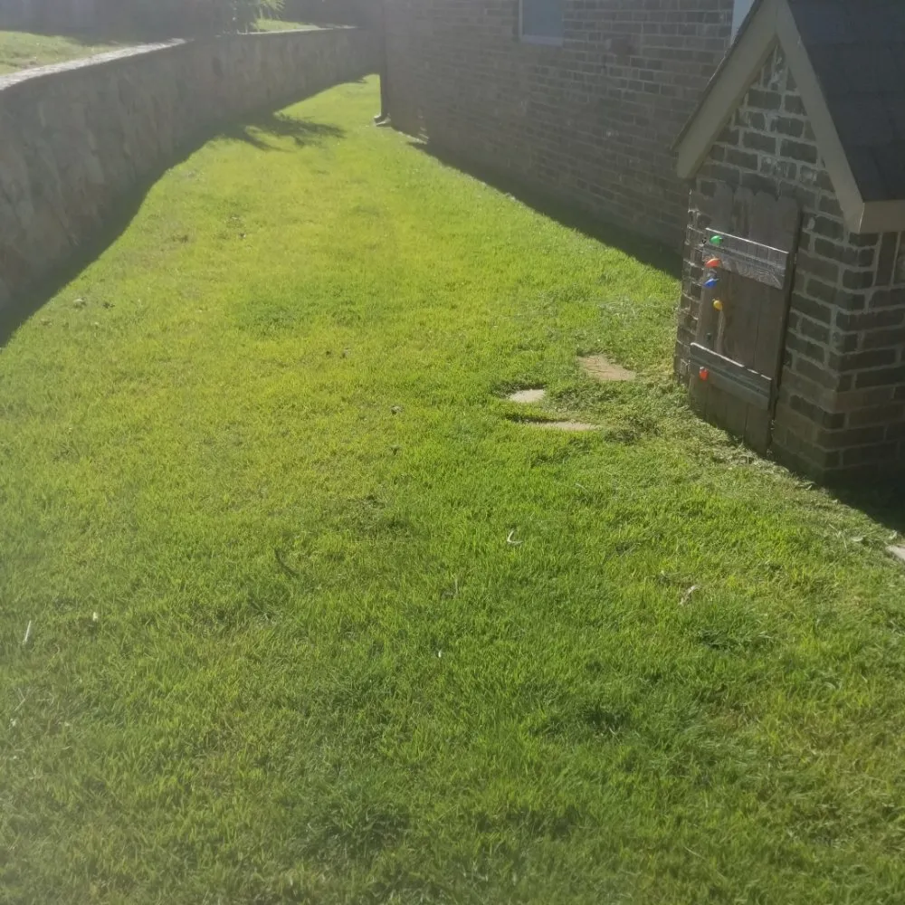 Professional landscaping services experts serving Harleton, TX - ii Care Lawn Care