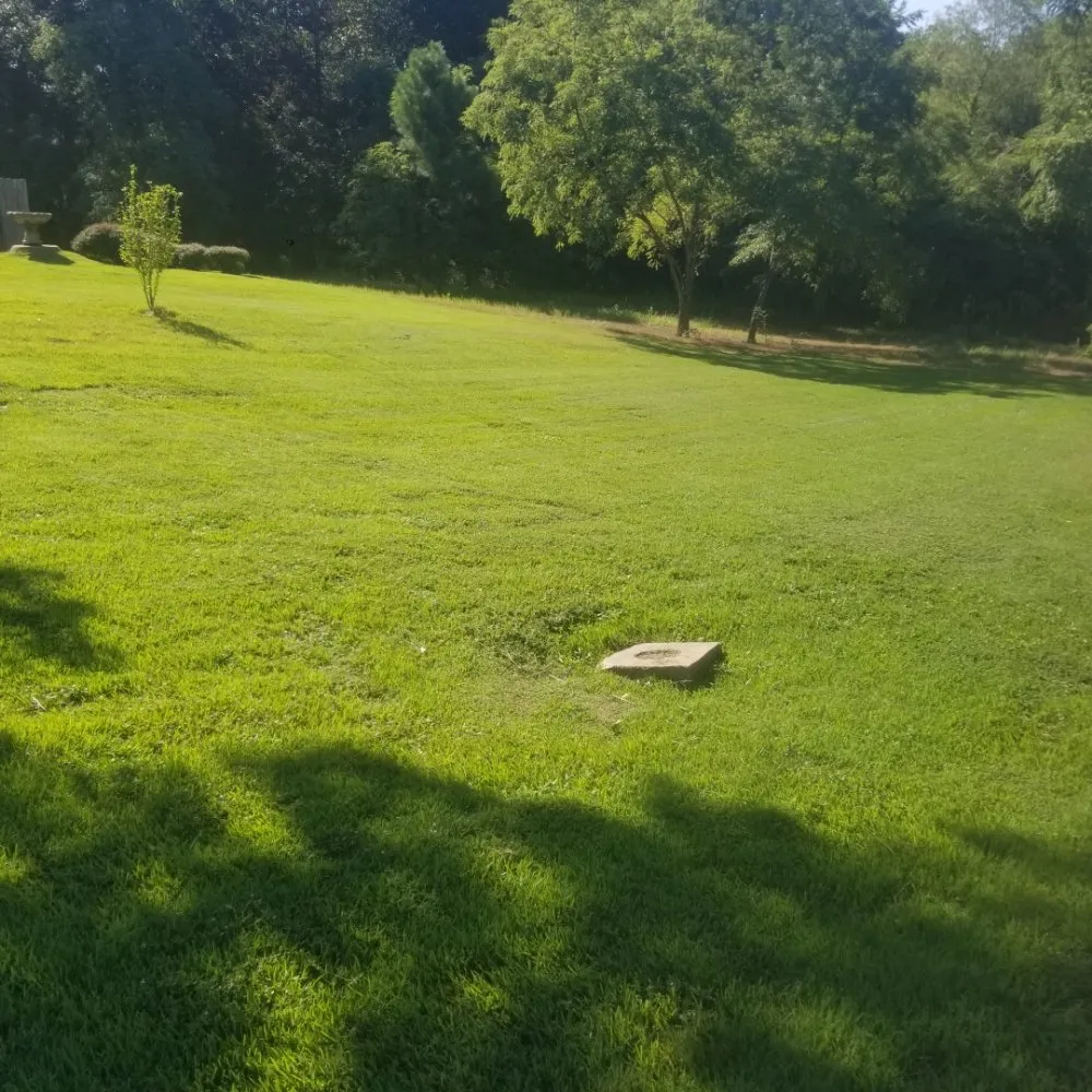 Reliable outdoor landscaping in Harleton, TX - ii Care Lawn Care