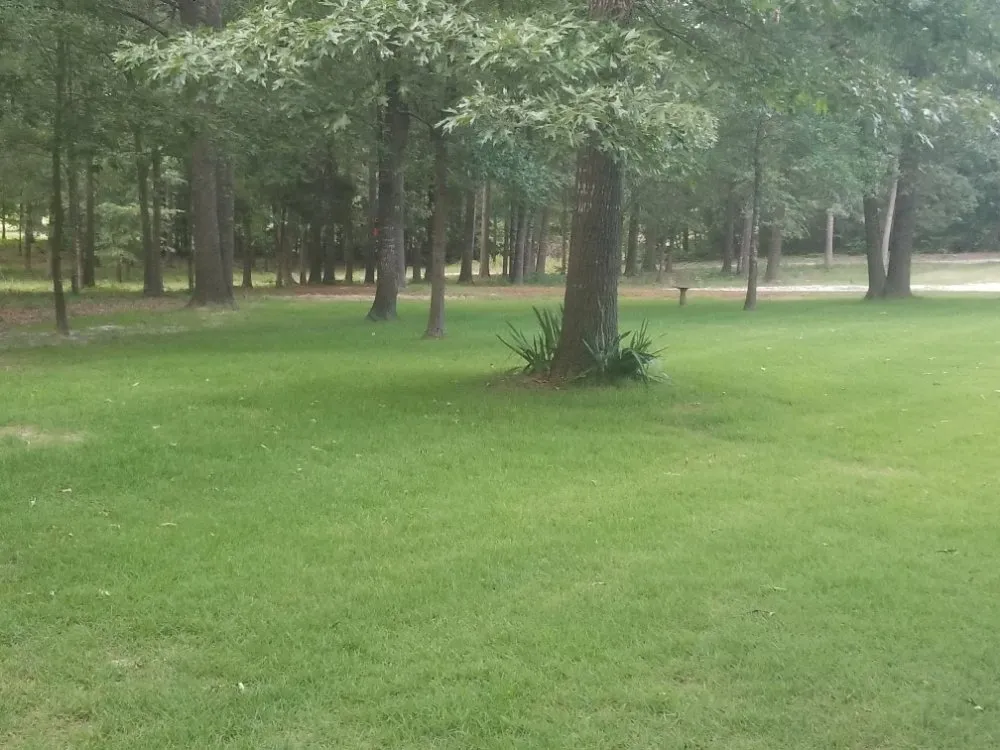 Affordable garden landscaping for homes across Harleton, TX - ii Care Lawn Care