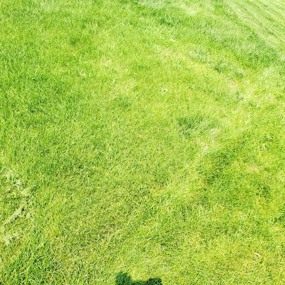 Top-rated landscape design in Caldwell, ID by IJ Lawn Services