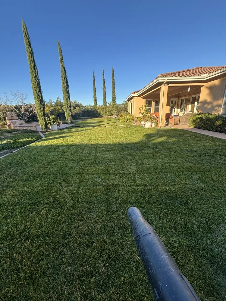 Top-rated landscaping services for homes across Escondido, CA - IJAM Landscaping