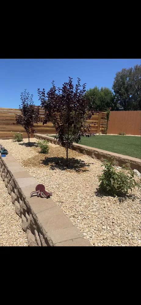 Top-rated yard maintenance experts serving Escondido, CA - IJAM Landscaping