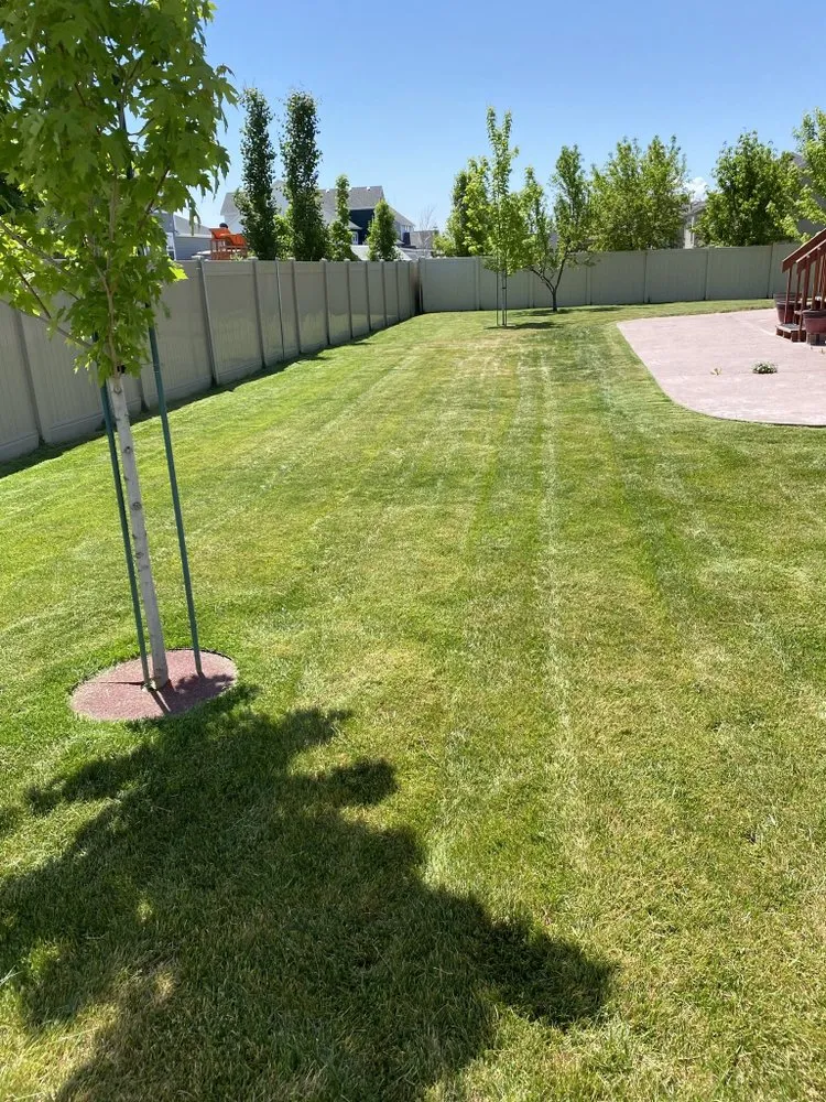 Custom yard maintenance for beautiful yards across Roy, UT - IKC Landscape