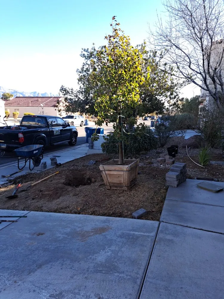 Custom yard cleanup service experts serving Las Vegas, NV - Iker landscaping