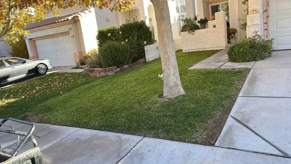 Iker landscaping Logo