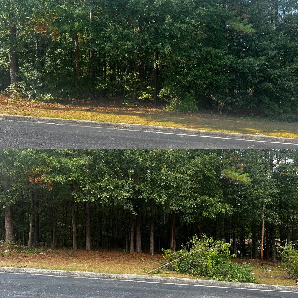 Expert landscape design in Elgin, SC - IKON Outdoor Solutions