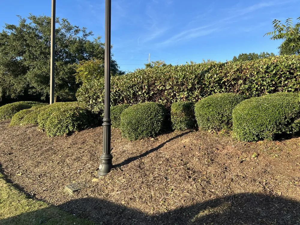 Expert yard cleanup service in Elgin, SC by IKON Outdoor Solutions