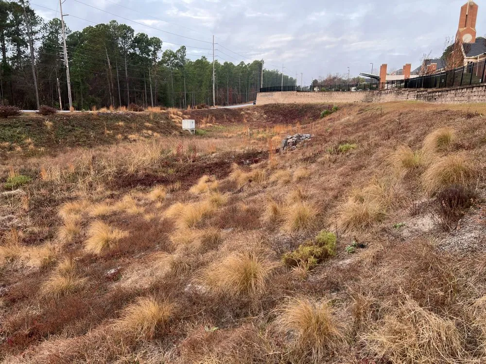 Expert yard maintenance experts serving Elgin, SC - IKON Outdoor Solutions