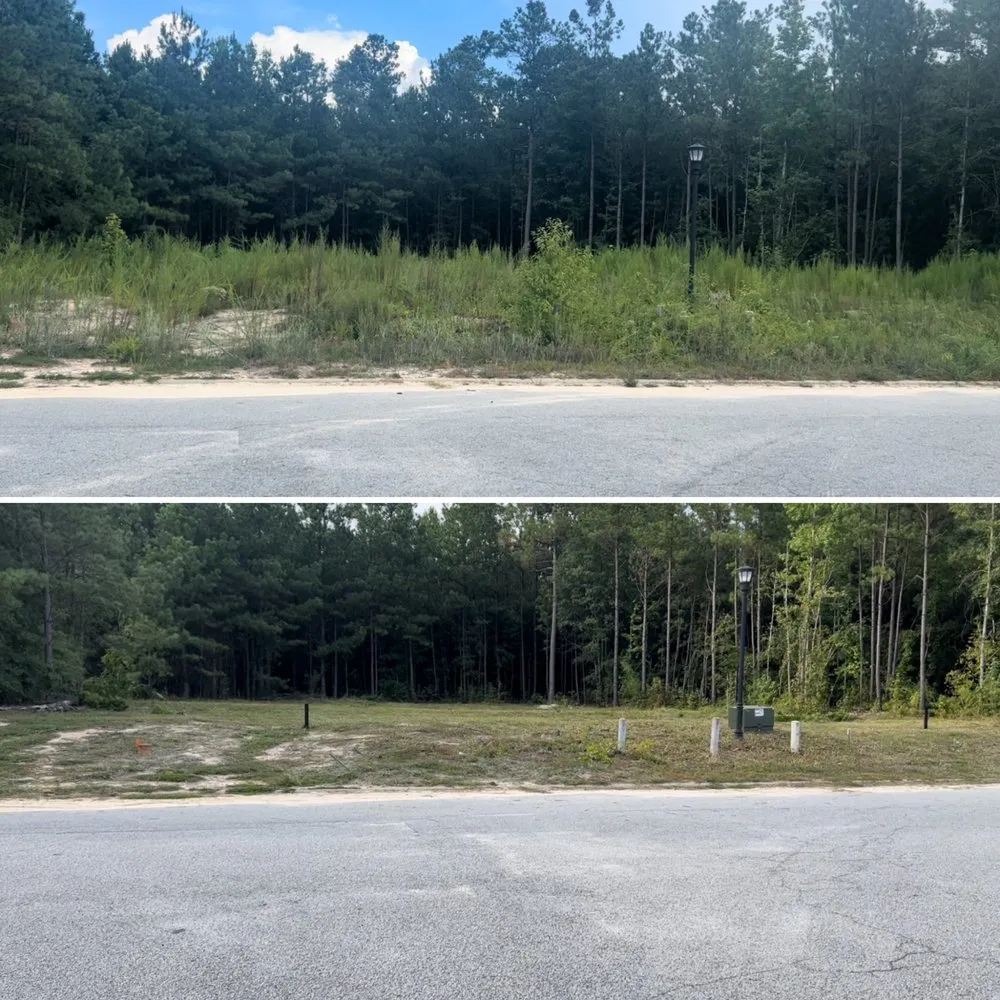 Top-rated yard maintenance with custom design across Elgin, SC - IKON Outdoor Solutions