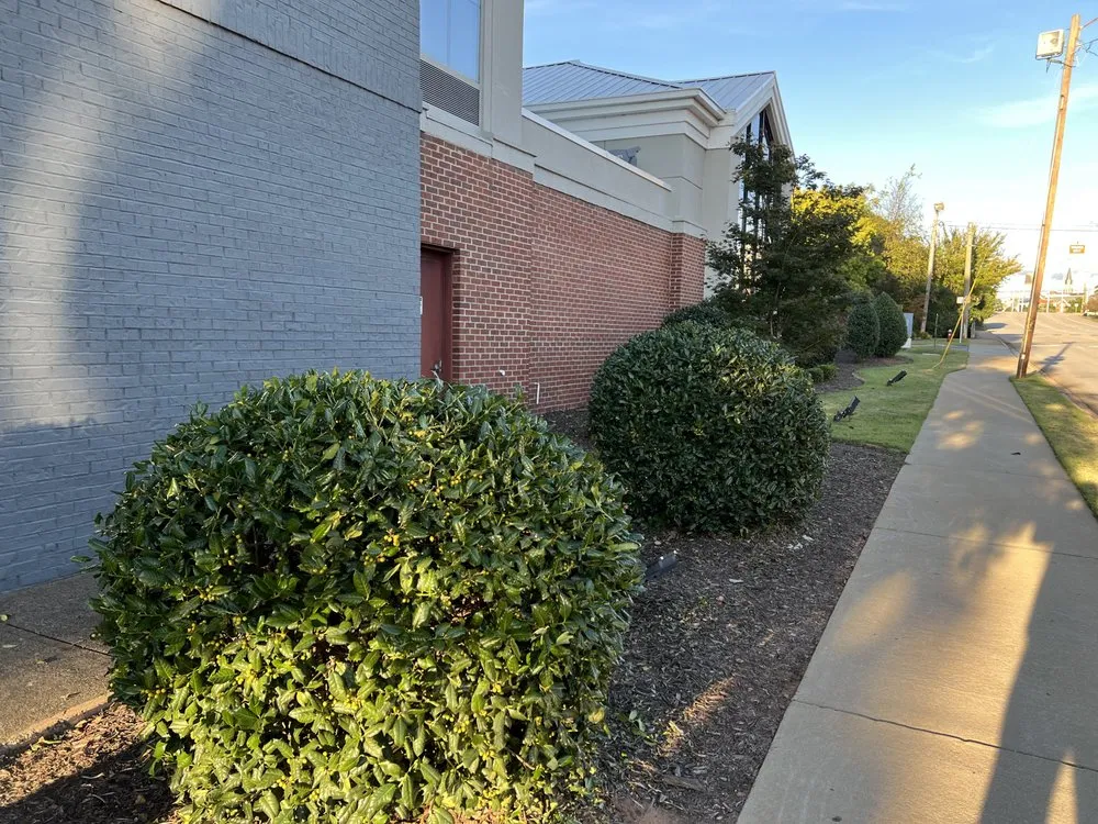 Affordable lawn care service for beautiful yards across Elgin, SC - IKON Outdoor Solutions