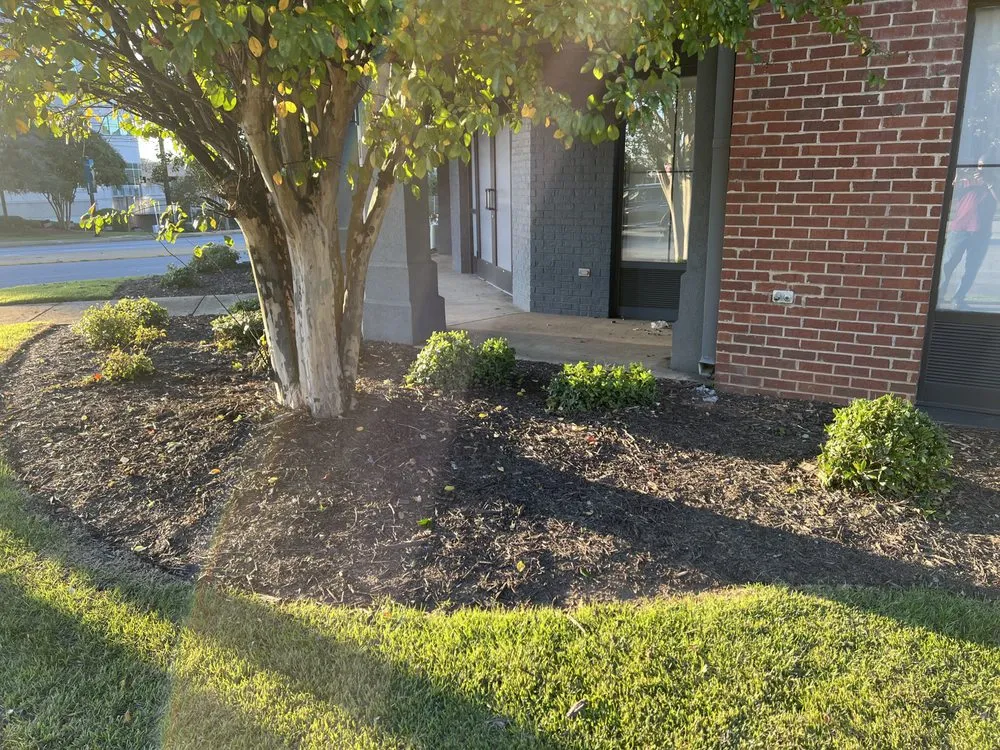 Affordable landscape installation for residential properties in Elgin, SC by IKON Outdoor Solutions