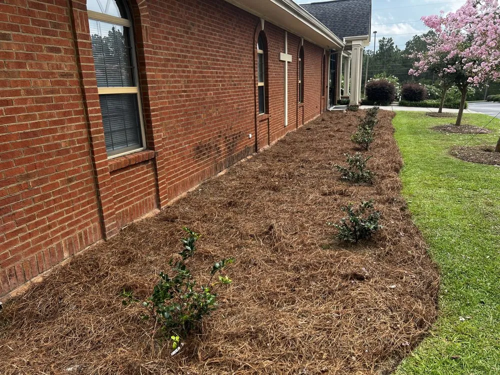 Top-rated lawn care service in Elgin, SC - IKON Outdoor Solutions