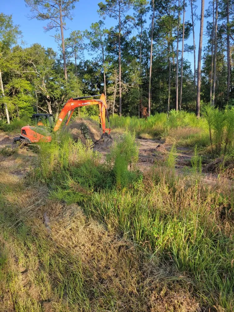 Custom lawn care service experts serving Lacombe, LA - IL Trucking