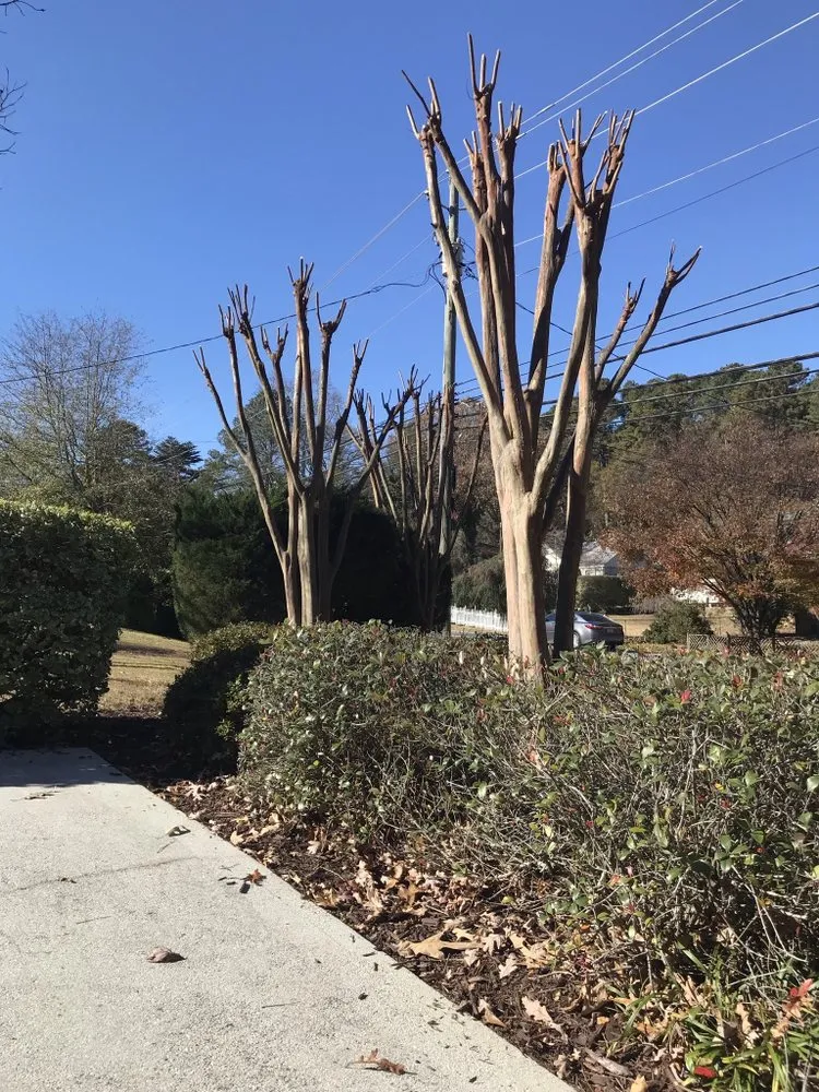 Top-rated yard cleanup service experts serving Lithonia, GA - iLandscape