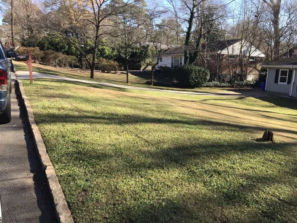 Professional yard maintenance experts serving Lithonia, GA - iLandscape