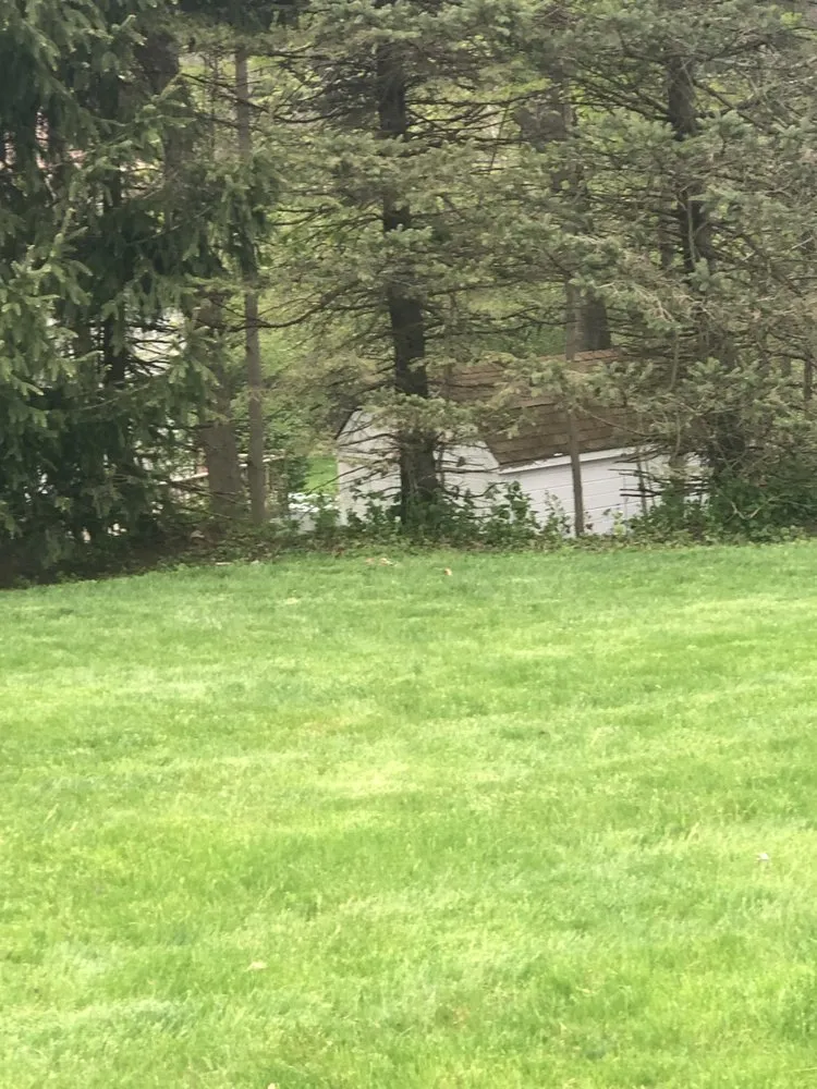 Affordable lawn care service with custom design in Ossining, NY by iLandscape NY