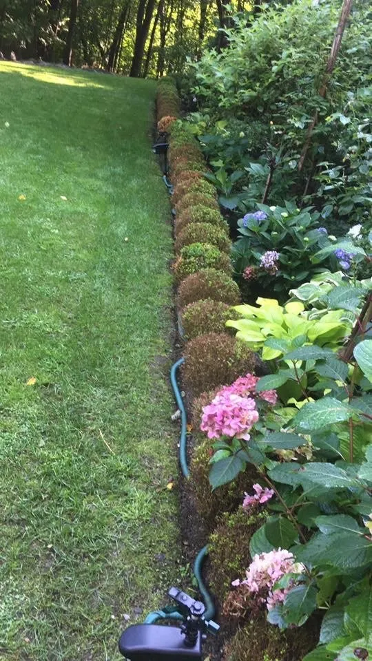 Custom lawn care service for outdoor upgrades across Ossining, NY - iLandscape NY