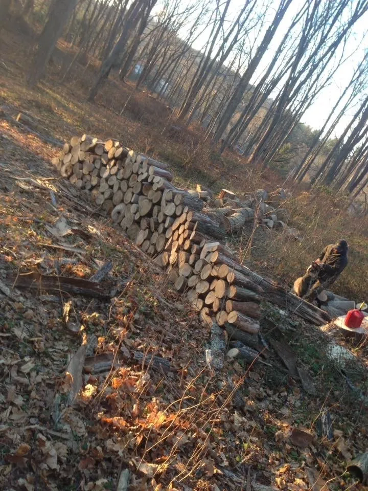 Top-rated landscape design in Ossining, NY - iLandscape NY