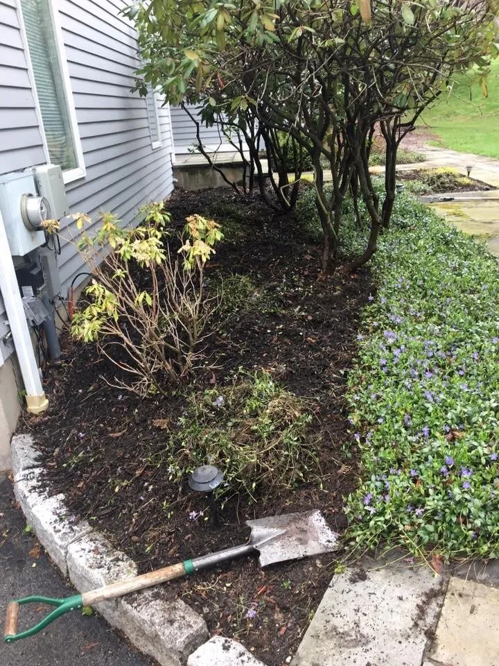 Professional lawn care service in Ossining, NY - iLandscape NY