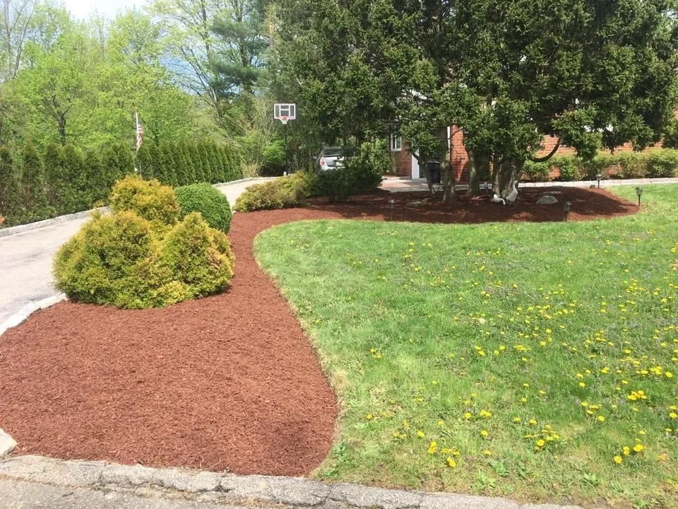 Reliable landscaping services in Ossining, NY by iLandscape NY