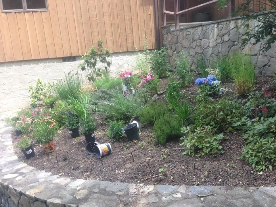 Top-rated yard cleanup service in Ossining, NY - iLandscape NY