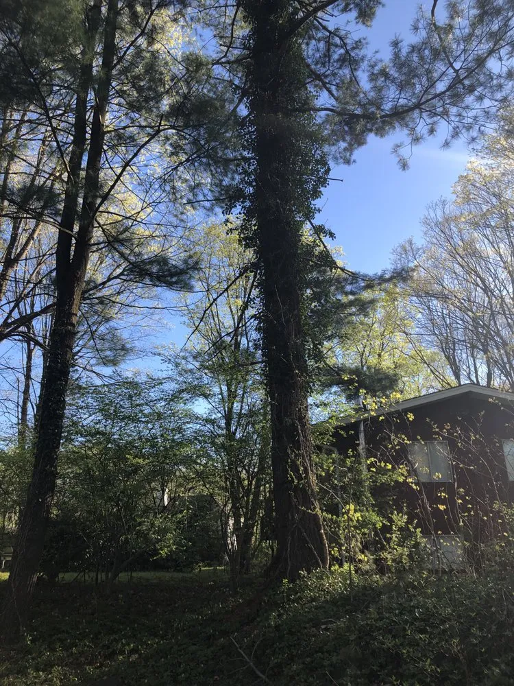 Trusted lawn mowing service in Ossining, NY - iLandscape NY