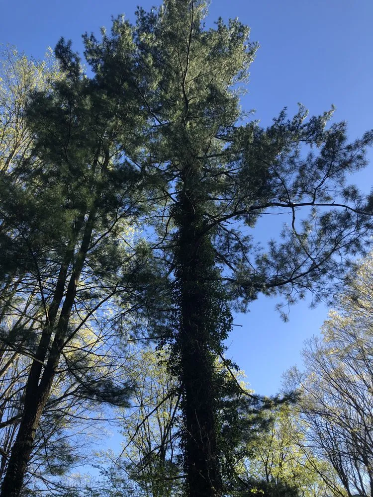 Custom lawn mowing service in Ossining, NY by iLandscape NY