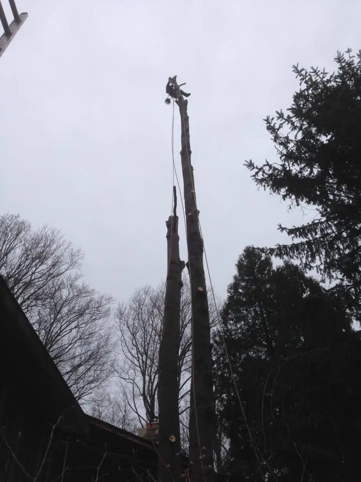 Expert lawn mowing service in Ossining, NY - iLandscape NY