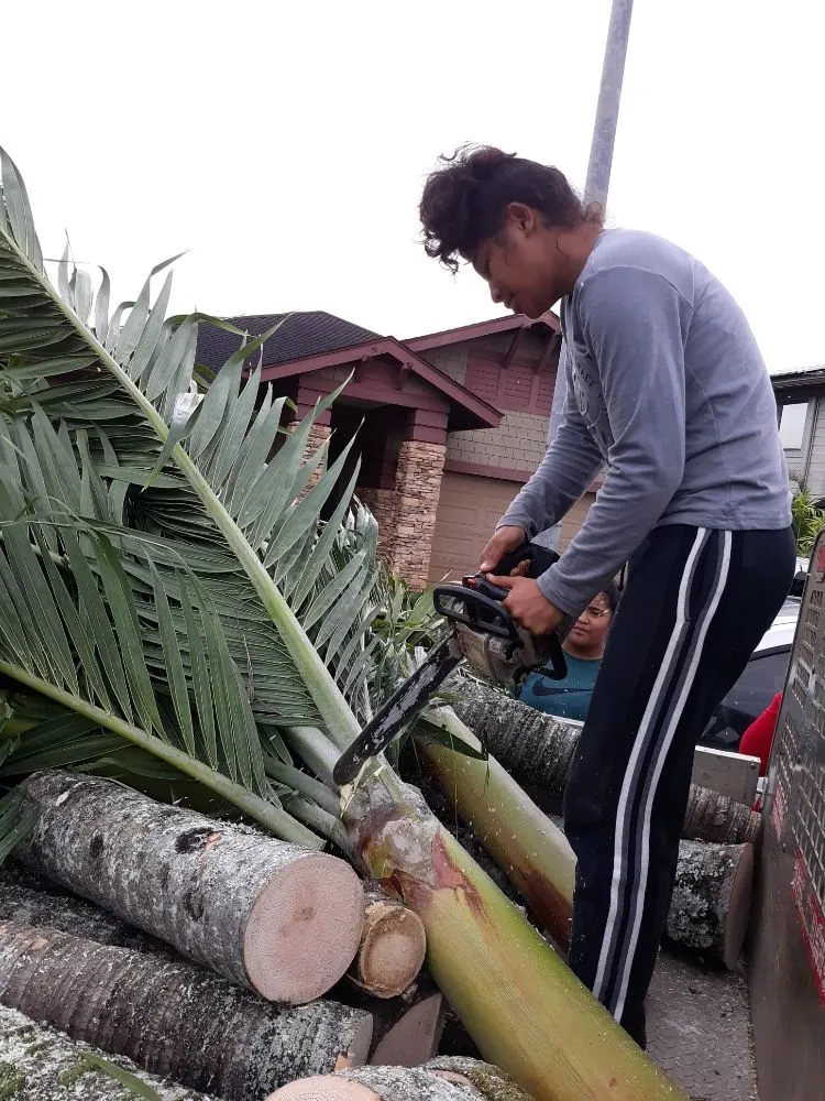 Custom landscaping services with custom design in Wahiawa, HI by ILA'S SERVICES