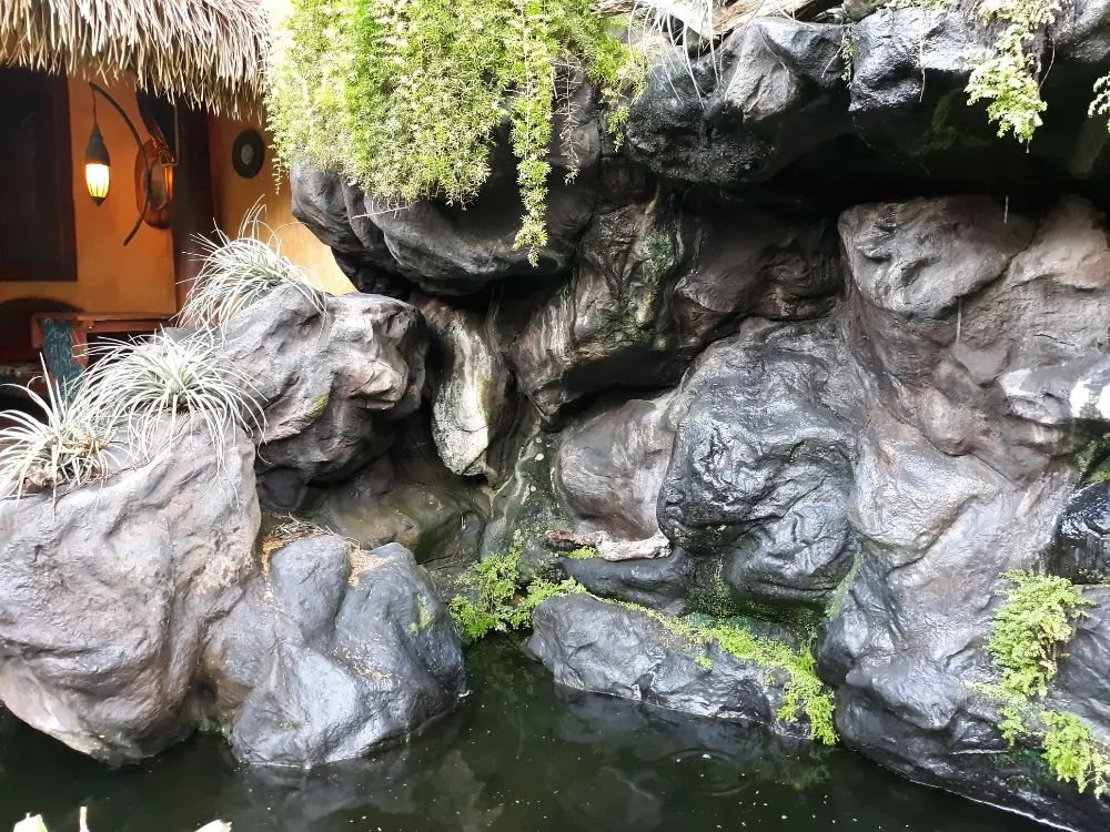 Reliable yard cleanup service in Wahiawa, HI - ILA'S SERVICES