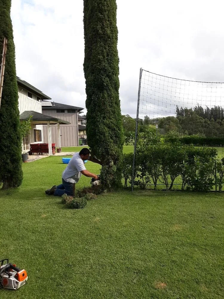 Custom yard cleanup service for outdoor upgrades in Wahiawa, HI by ILA'S SERVICES