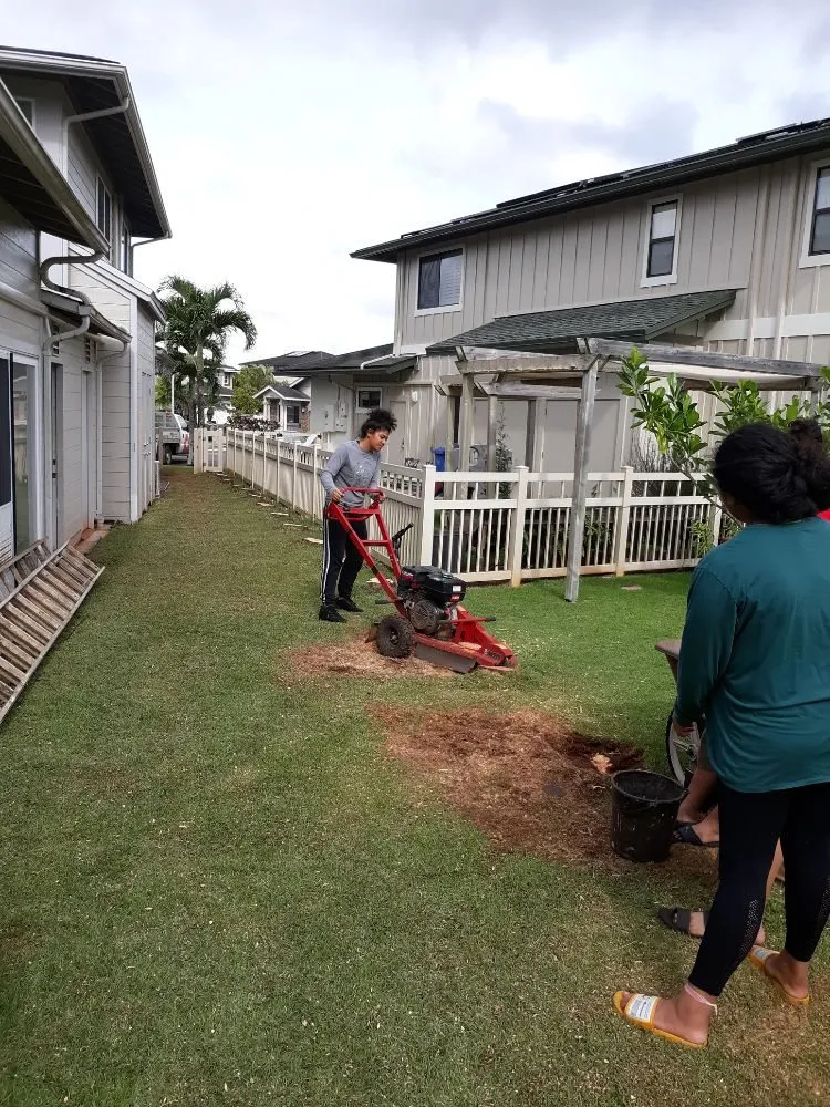 Affordable lawn mowing service in Wahiawa, HI by ILA'S SERVICES