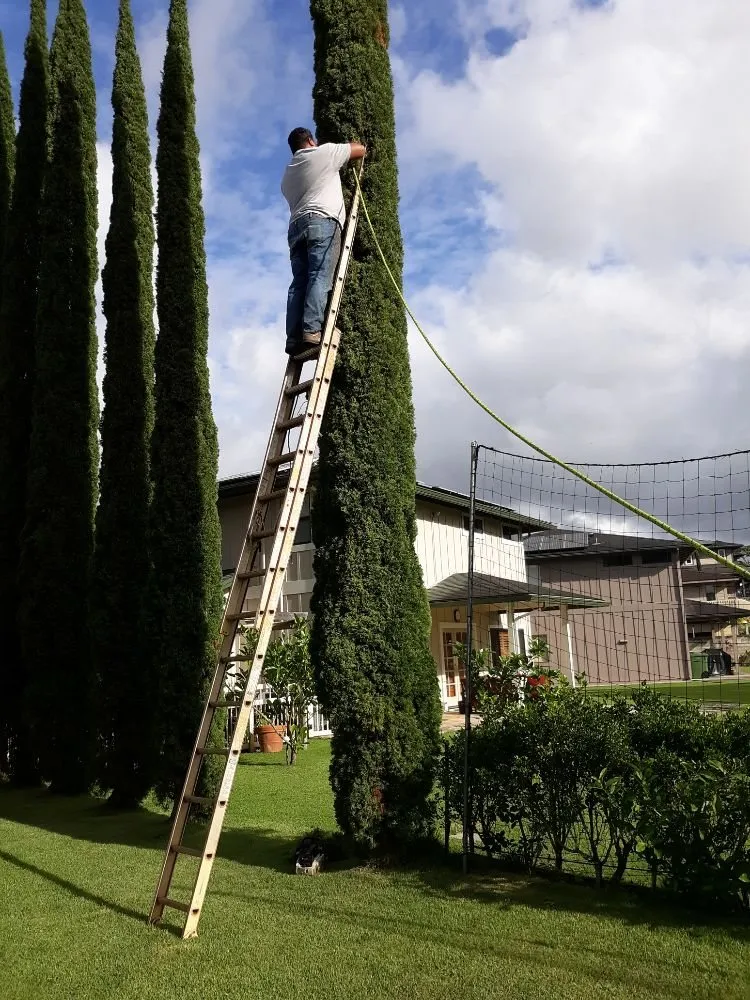 Reliable lawn care service experts serving Wahiawa, HI - ILA'S SERVICES