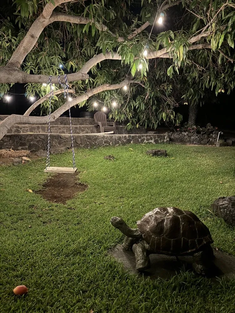 Affordable lawn mowing service in Kailua-Kona, HI by Ili Kupono Gardens Nursery & Farm
