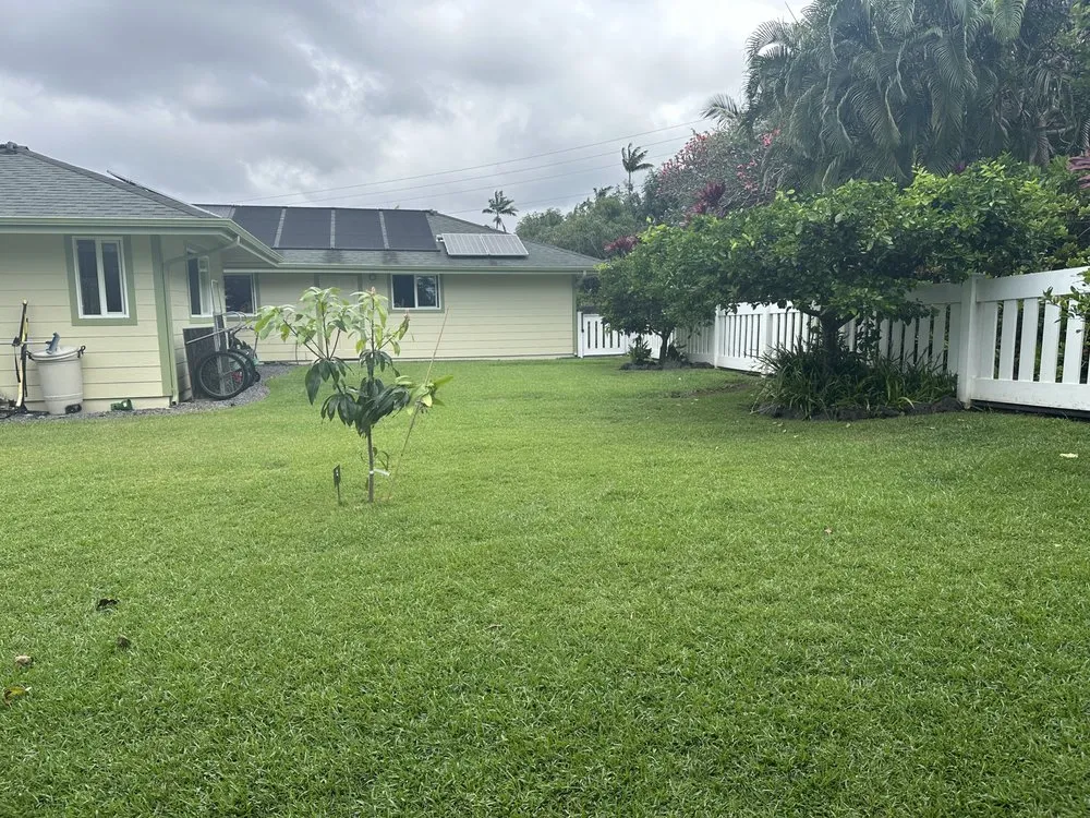 Trusted yard cleanup service in Kailua-Kona, HI by Ili Kupono Gardens Nursery & Farm