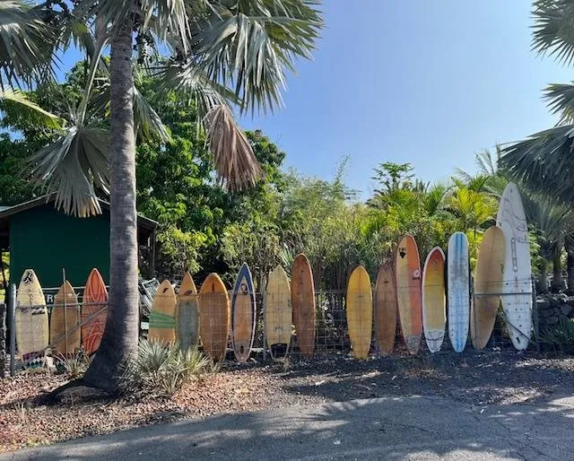 Reliable lawn care service with custom design in Kailua-Kona, HI by Ili Kupono Gardens Nursery & Farm