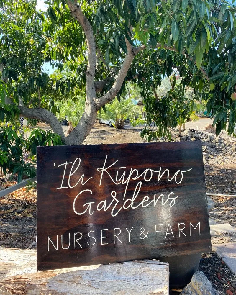 Local lawn mowing service in Kailua-Kona, HI - Ili Kupono Gardens Nursery & Farm