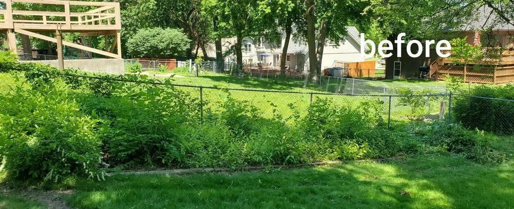 Top-rated outdoor landscaping for residential properties in Eudora, KS by Ilia Landscape