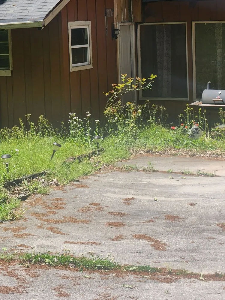 Local outdoor landscaping in Atlanta, GA by I'll Be Back Landscaping