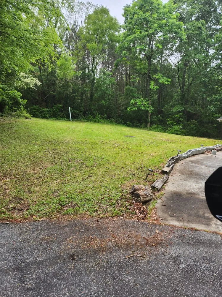 Affordable yard maintenance for year-round maintenance in Atlanta, GA by I'll Be Back Landscaping