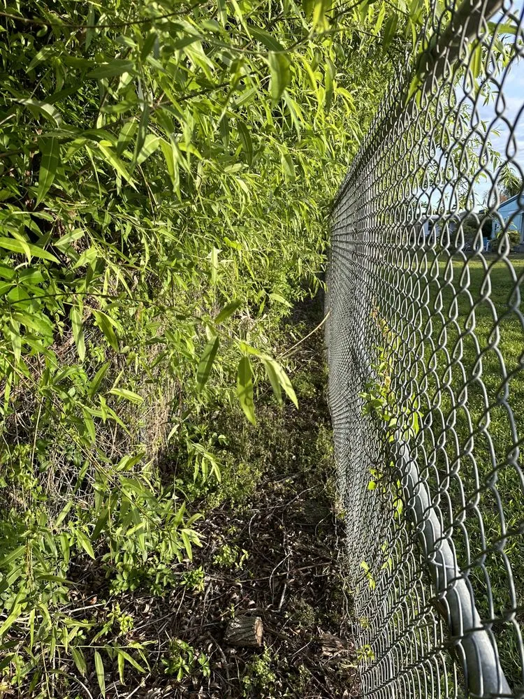 Custom lawn mowing service in North Fort Myers, FL by I'll Do It