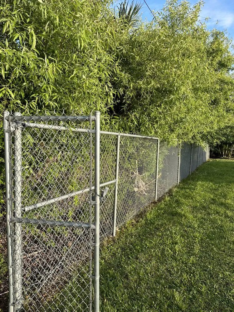 Local yard cleanup service experts serving North Fort Myers, FL - I'll Do It